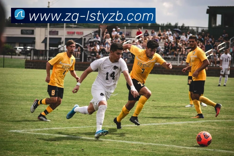 App Interface Preview